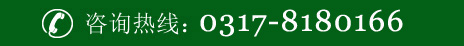 0317-8180166